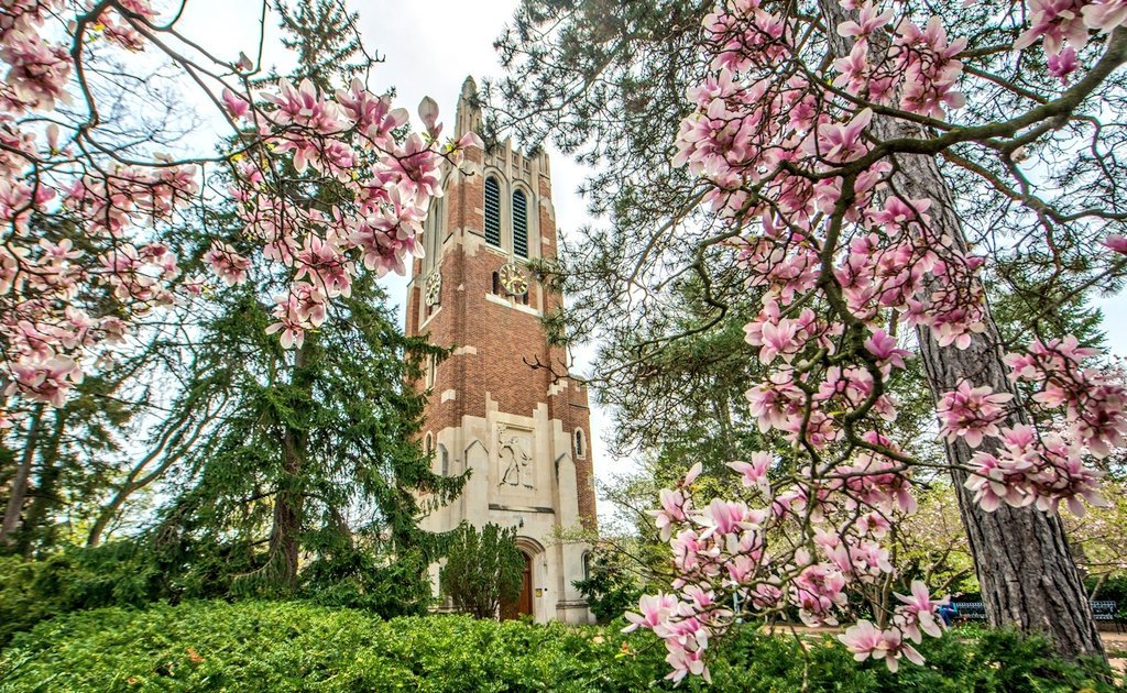 Best Colleges tweet media