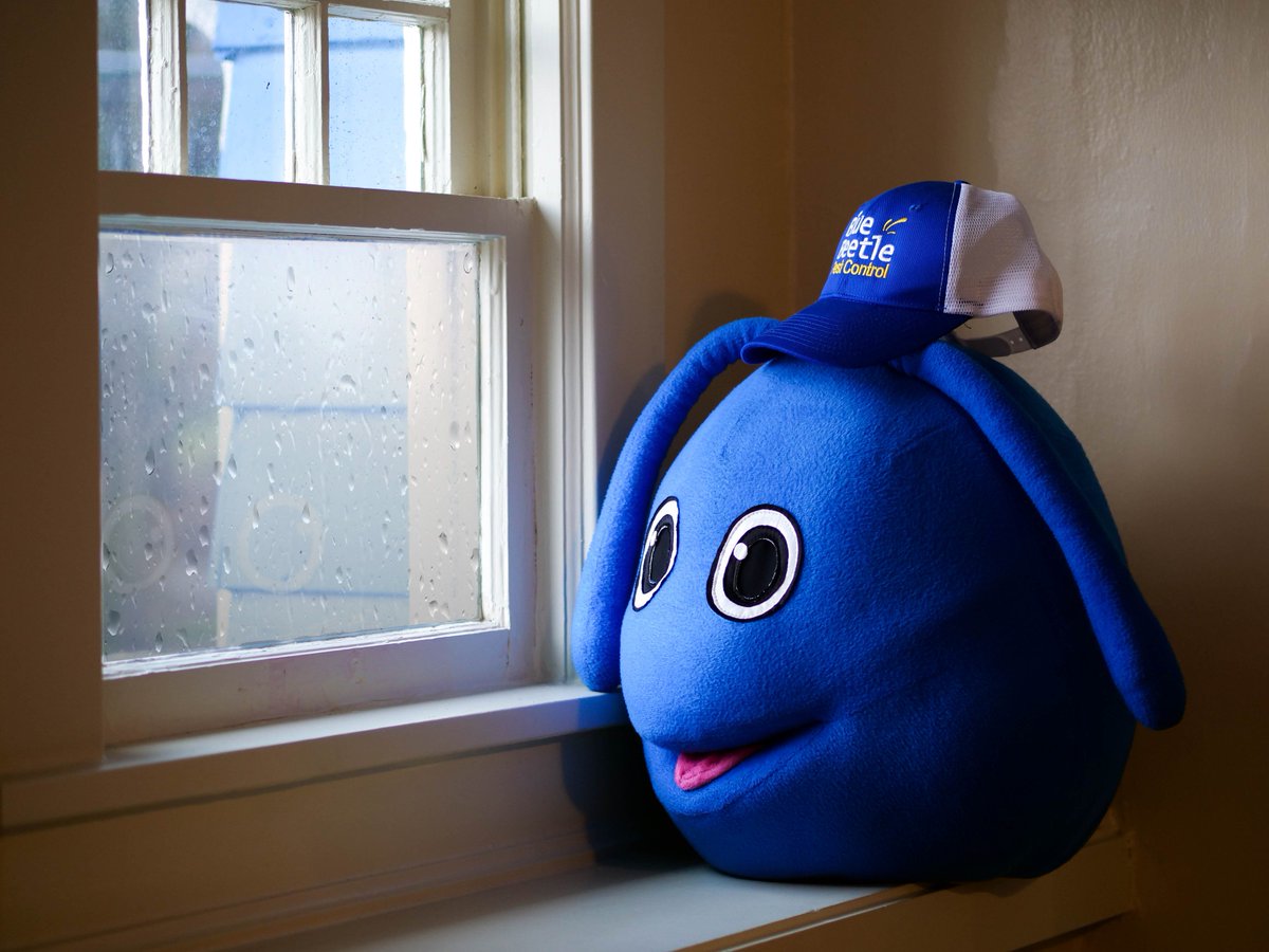 Blue Beetle Pest Control Kansas City Pest Control