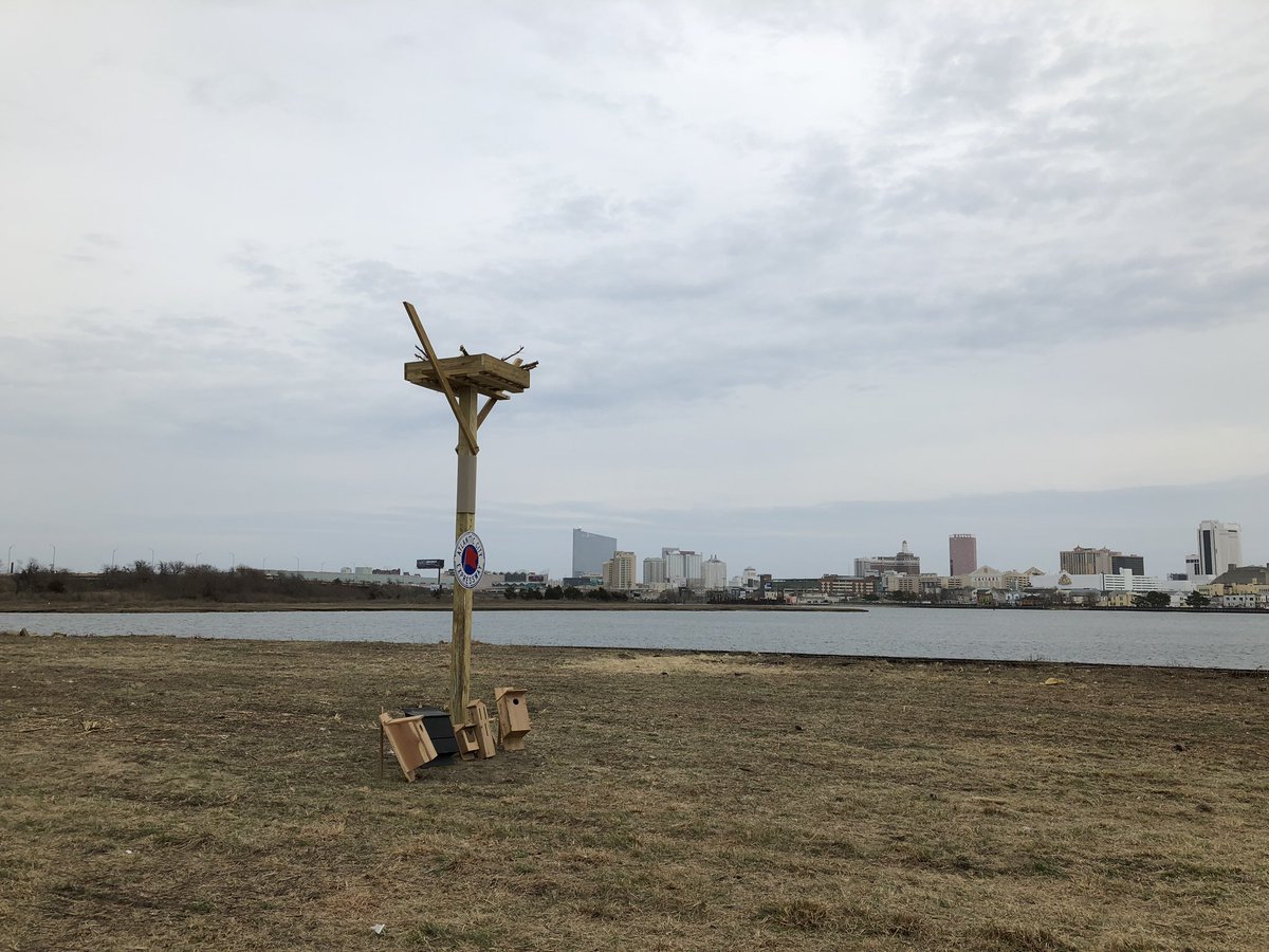 MicDougherty's tweet photo. New perches installed at Bader Field in Atlantic City for osprey nesting. The birds have been living on billboards along the AC Expressway. https://t.co/lkeUCHyweB