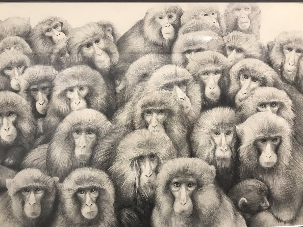 HermineVideau's tweet photo. #semainedudessin @AcadBeauxarts @citedesarts @Salondudessin vive le dessin sous toutes ses formes, techniques et formats ! https://t.co/RFdgxtxkvb