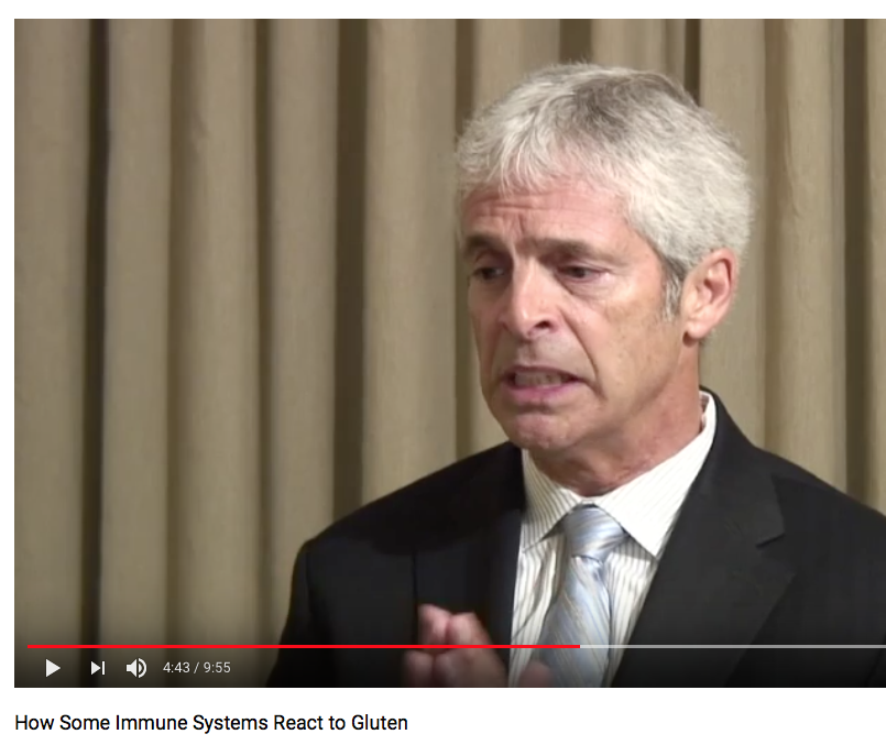 MUST WATCH: How Certain Immune Systems React to Gluten - youtu.be/z937yRGPf5M
The health of your immune system depends on your willingness to understand how it works. Heal your GUT heal your EVERYTHING. 
<a href="/theDr_com/">Dr. Tom O'Bryan</a> explains how you can help yourself heal...