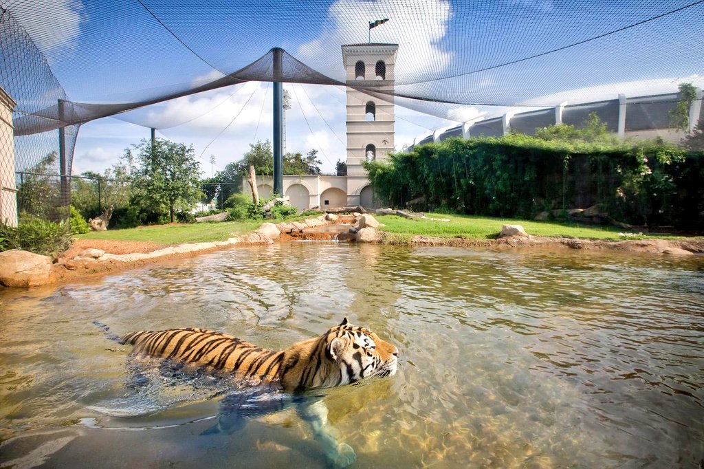 Best Colleges tweet media