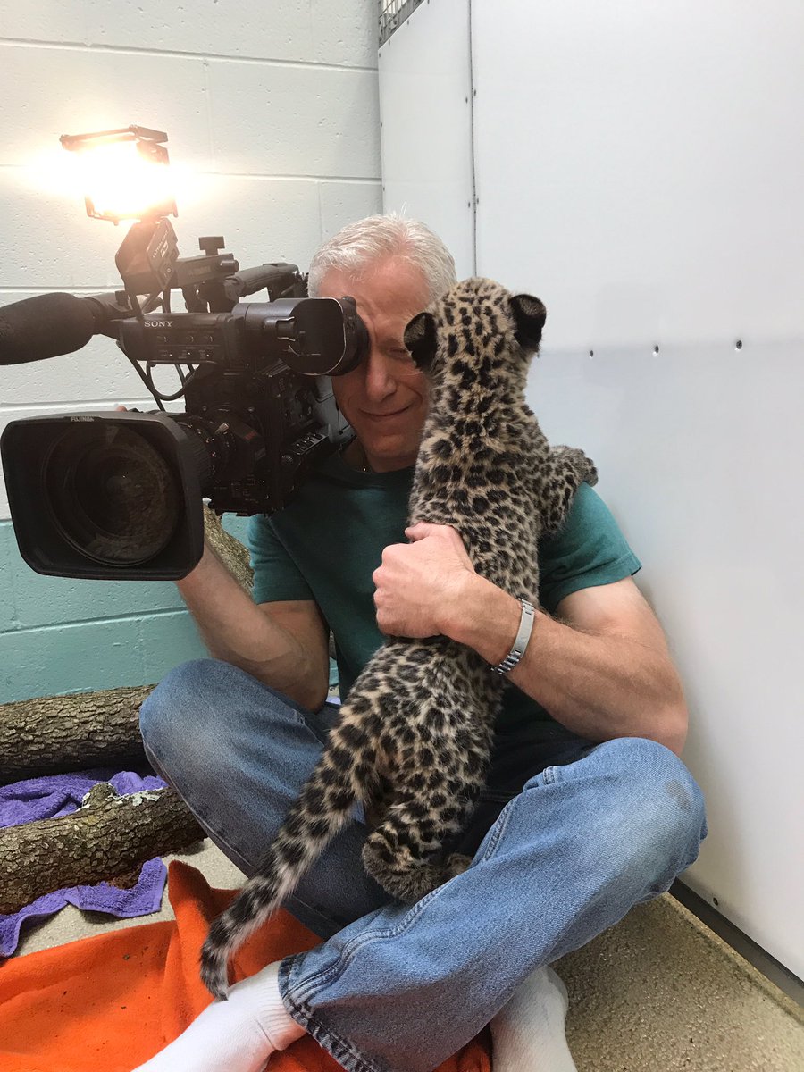 I met a leopard today. <a href="/MarissaAlter/">Marissa Alter</a> <a href="/News12CTPhotogs/">News 12 Photogs</a> <a href="/CTBZoo/">CT's Beardsley Zoo</a> <a href="/News12CT/">News12CT</a>