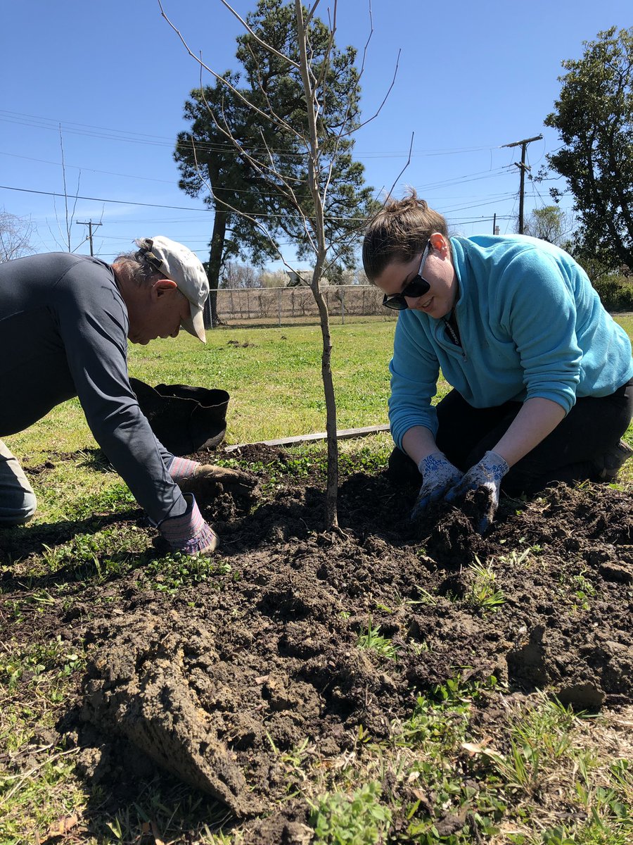 abj4cleanwater's tweet photo. Volunteers put final touches on our @NFWFnews grant to increase Hopewell’s urban tree canopy. Plant...stake...prune... weed...mulch...repeat. #treesforcleanwater @chesapeakebay https://t.co/ruaP8oVEIQ
