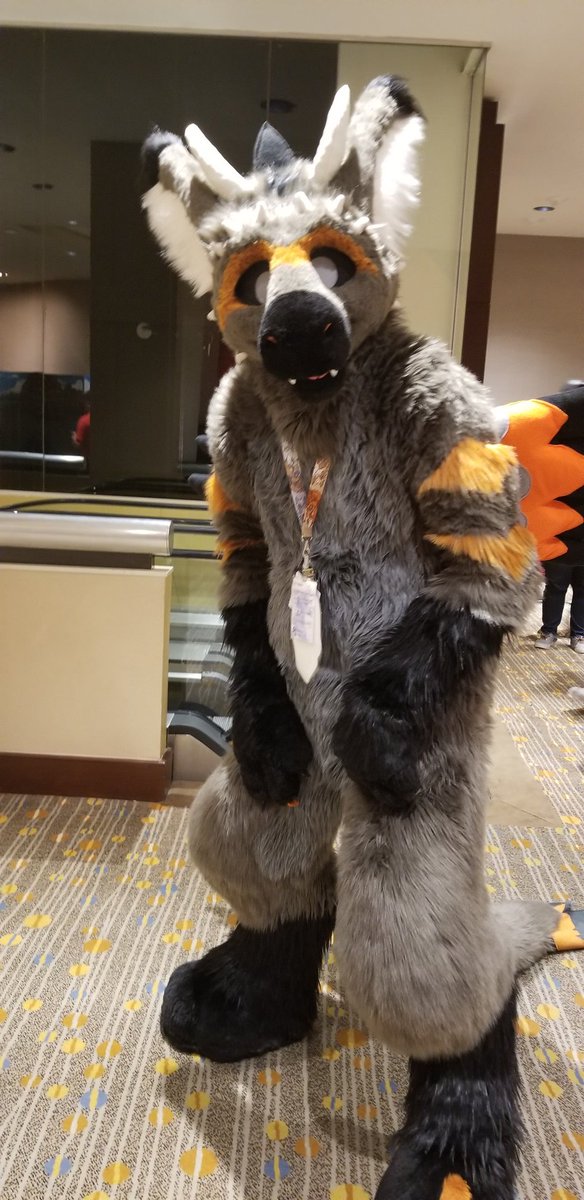 Dabigsamoan's tweet photo. Will the real @ScathDragon stand up please! #WhoDoesntLoveaDutchie #TFF2019 #ImaDingus https://t.co/IoN6m2GBo5