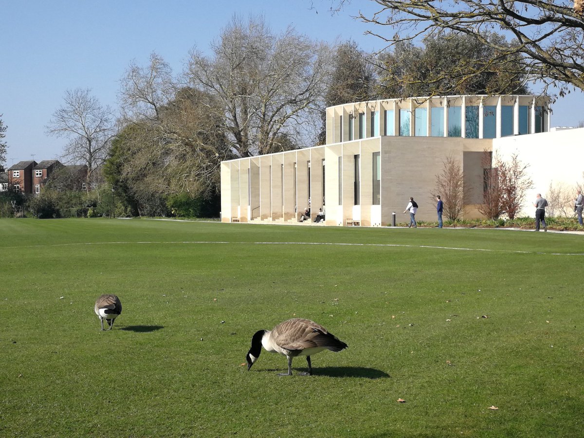 Great talks at #creativemetaphor, and great geese too.