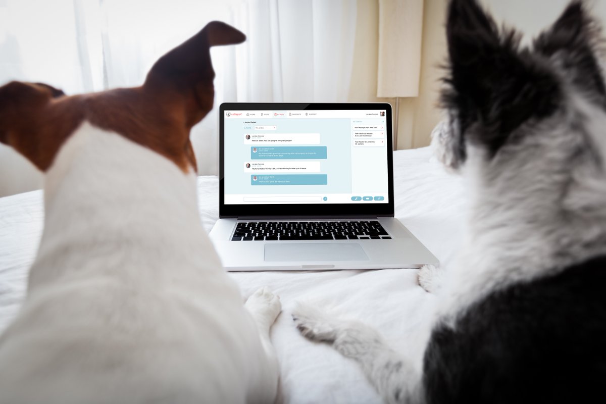 If you're worried about your pet's health, would you ask a stranger what to do or a pet expert?  Best choice would probably be the expert. SoftSpot's chat allows you to chat with real vets for real expert advice.  Check us out in the iOS store, or the web, coming soon!