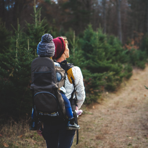 SolbakkenMN's tweet photo. Taking the path less traveled is how you gain rare experiences. https://t.co/9MoB4K0lYi