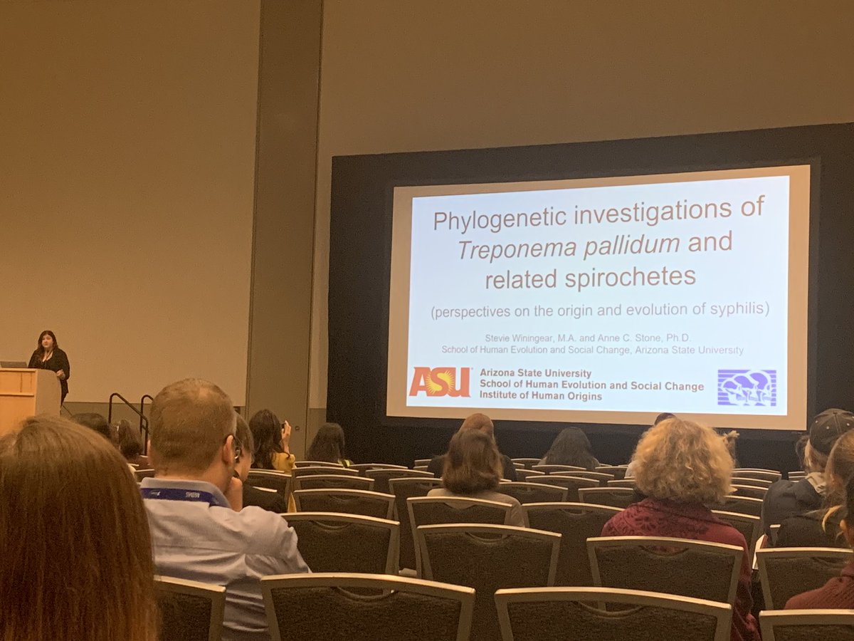 ATOzga's tweet photo. @StevieWiningear from @StoneLab_ASU uses ancient DNA to address possible origins of syphilis at #AAPA2019 yaaaa! #stonelabrepresent https://t.co/UPLPTYq3zY