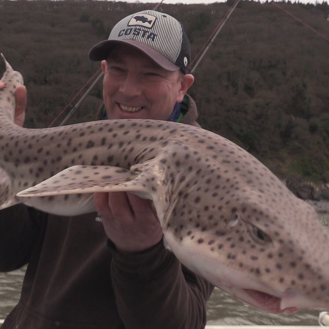 TAFishing tweet media