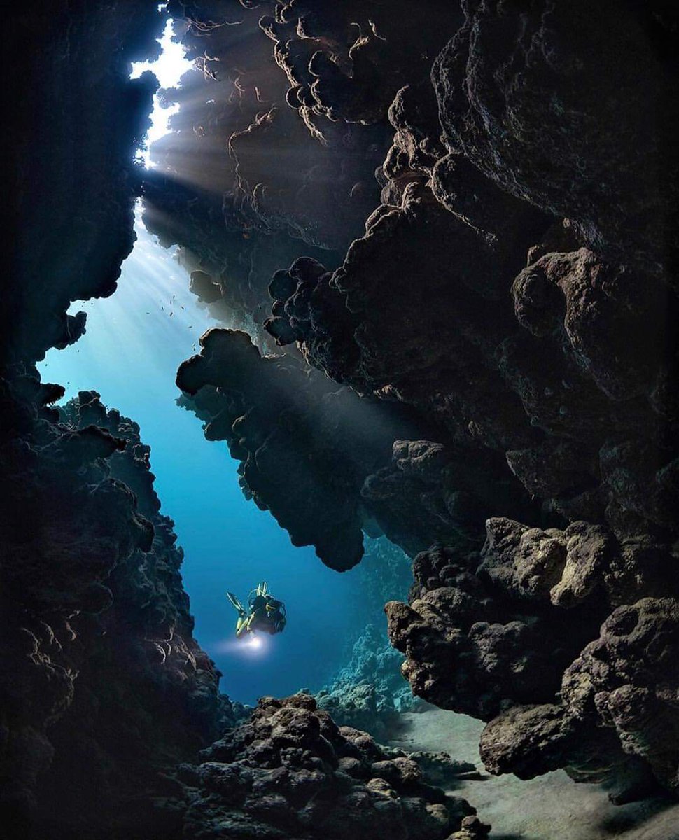Adriatic Scuba (@adriaticscuba) / Posts / X