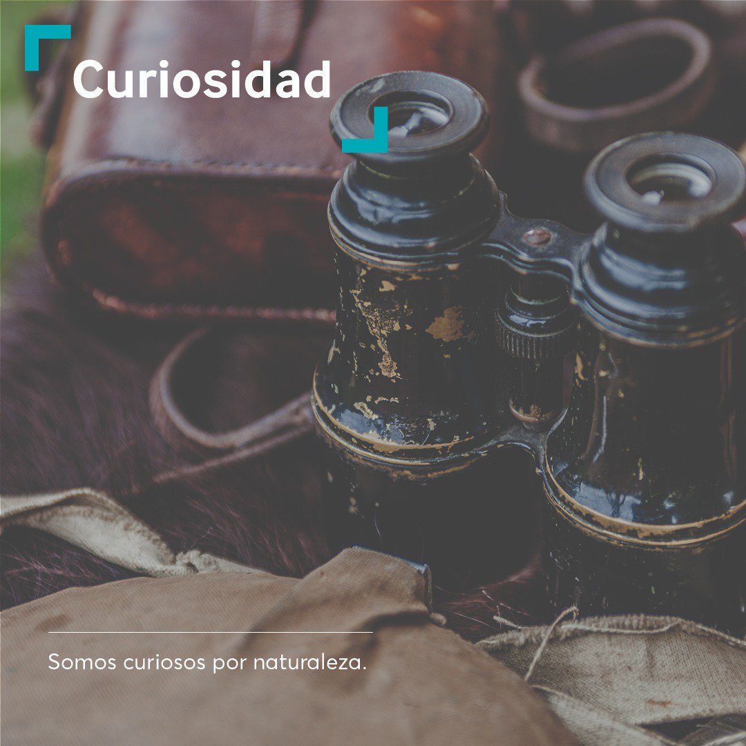 PHDDominicana's tweet photo. Encontrar personas con estos valores es una de nuestras misiones centrales. En PHD somos curiosos por naturaleza.
Nos gusta cuestionar, explorar y aprender. #PHDDominicana #FindingABetterWay https://t.co/oKAGS23Qxs