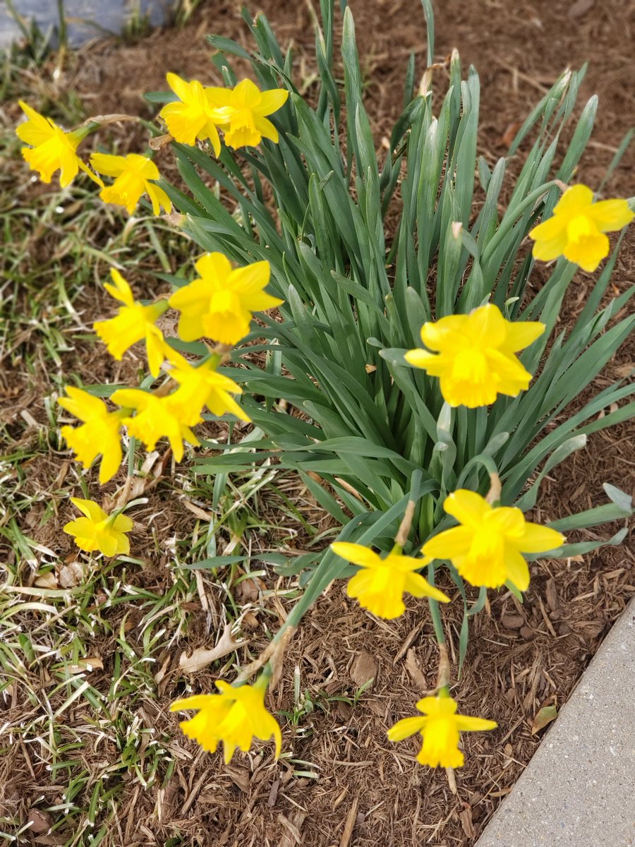bratprincess89's tweet photo. #springthing https://t.co/c3MjjJGlJW