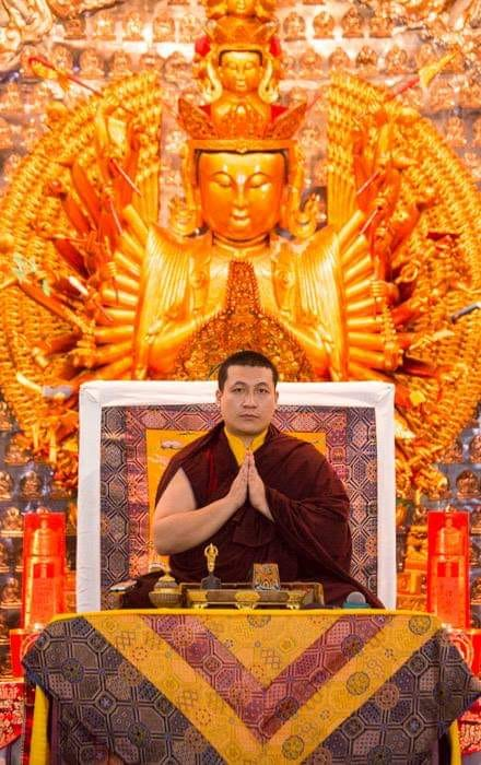 "La felicidad eterna se obtiene al comprender nuestras propias cualidades inherentes, como la compasión y la bondad amorosa, y al obtener sabiduría acerca de nuestra verdadera naturaleza."
#Karmapa