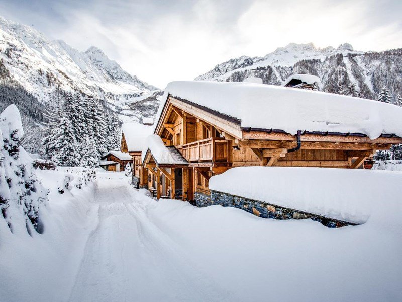 The Big Domain tweet media