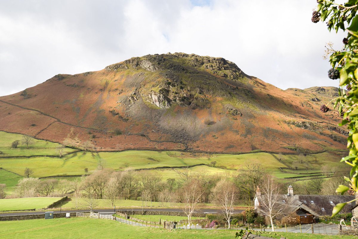 LakeDistInns's tweet photo. What could be better than staying in a stunning cottage for the summer in the heart of The Lakes? #Bramrigg #cottages #LakeDistrict #theplacetobe #lovelife #Summer2019 #cumbria #familytime #perfect https://t.co/Ax7uVvIJ9F