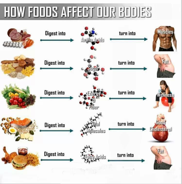 ExplainedKetos's tweet image. YOU ARE What you eat❗️  Did you know that every 28 days ... Your Skin replaces itself 😀 Your Liver every 5 months, Your bones every 10 years.  Your body makes these new cells from the foods you EAT❗️ What you eat LITERALLY becomes YOU 🥑 You have a Choice what you're made of❗️