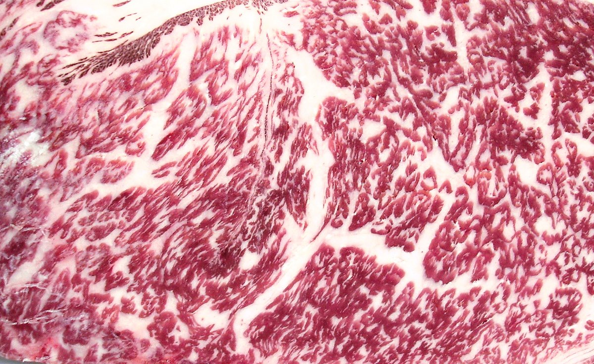 MarbleGenetics's tweet image. Marbling is the most reliable component of meat taste and tenderness.