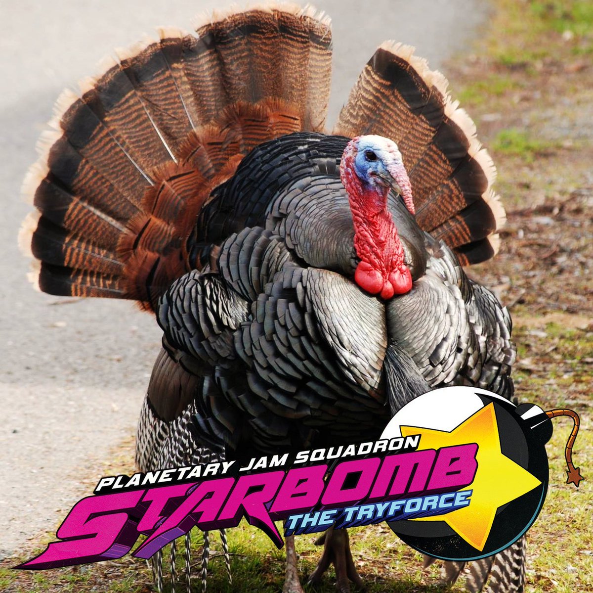 Starbomb on Twitter "New album coming APRIL 19, preorders start APRIL