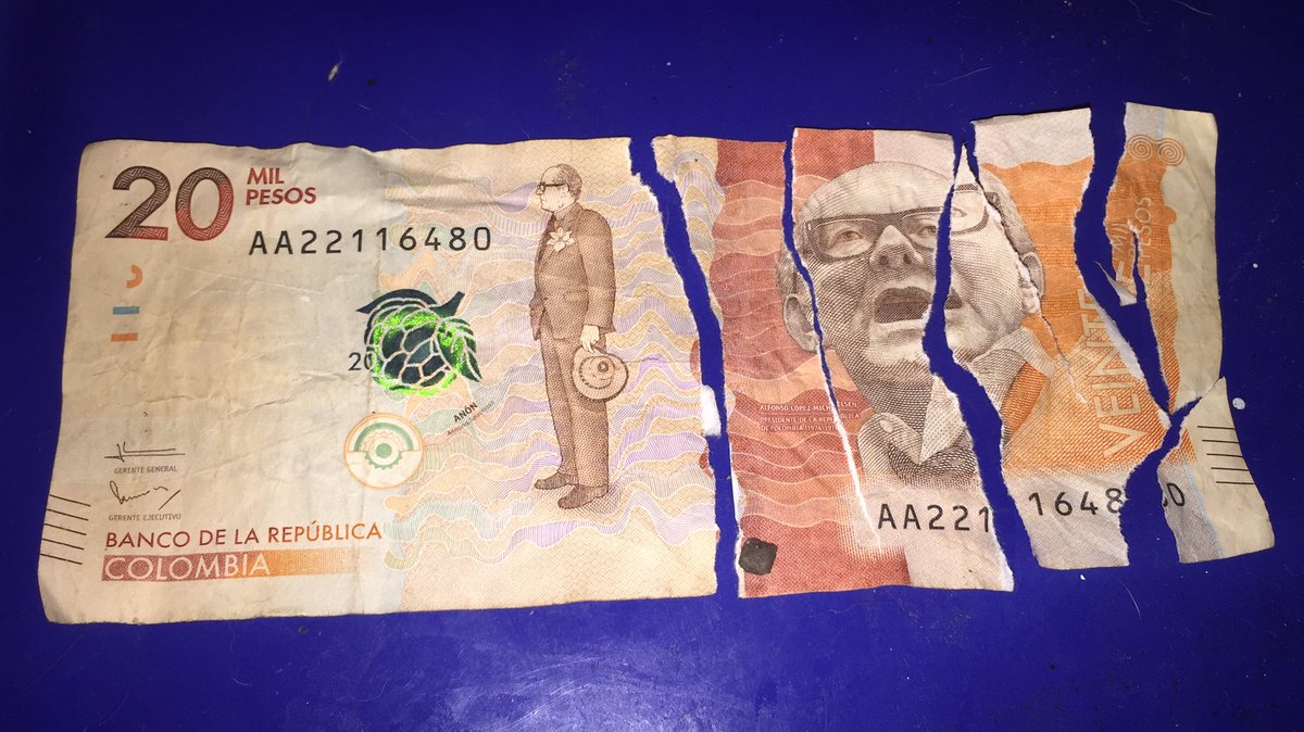 Ilonka Gonzalez tweet media