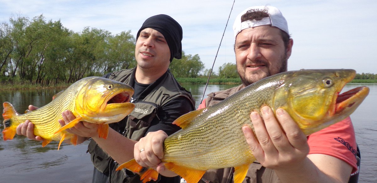 carlostortul's tweet photo. @PESCADEPORTIVA_  RECONQUISTA A FULL - 3482-540796 https://t.co/X5e8cp6m6d