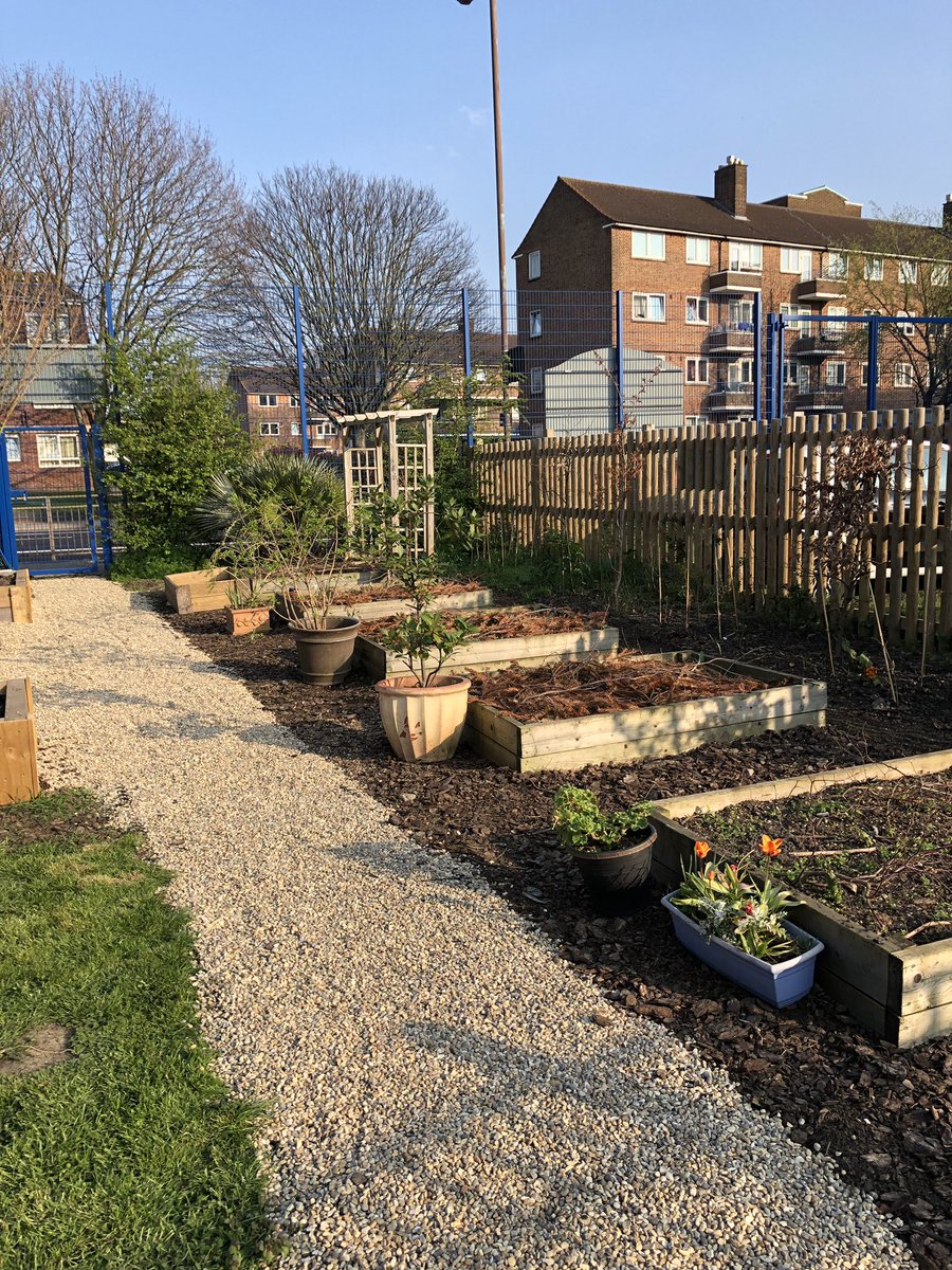 Christchurch School Community Garden tweet media