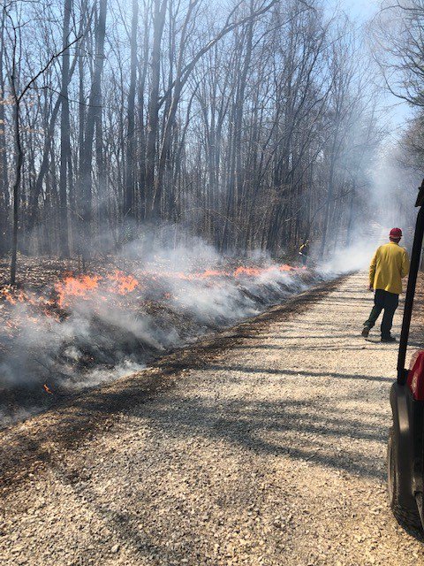 OakRidgeFD's tweet photo. We assisted w/ controlled burns yesterday on the west end of #OakRidge. These photos were taken near Wisconsin Ave. Controlled burns are needed to eliminate wildfire fuel &amp; improve forest habitat. Active burning is over but TN Forestry crews are still monitoring the area. #ORFD https://t.co/yXGszqgnHo