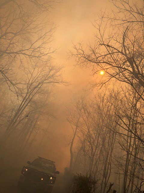 OakRidgeFD's tweet photo. We assisted w/ controlled burns yesterday on the west end of #OakRidge. These photos were taken near Wisconsin Ave. Controlled burns are needed to eliminate wildfire fuel &amp; improve forest habitat. Active burning is over but TN Forestry crews are still monitoring the area. #ORFD https://t.co/yXGszqgnHo