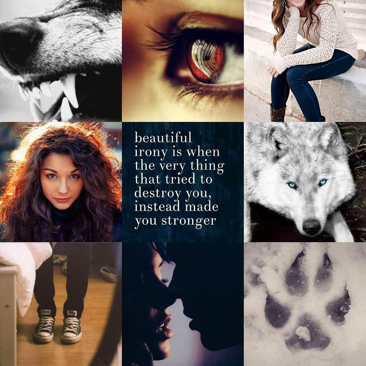 TimberTrilogy's tweet image. Timber Brogan Aesthetic #TheTimberEffect #TheTimberWolfPack #aesthetic