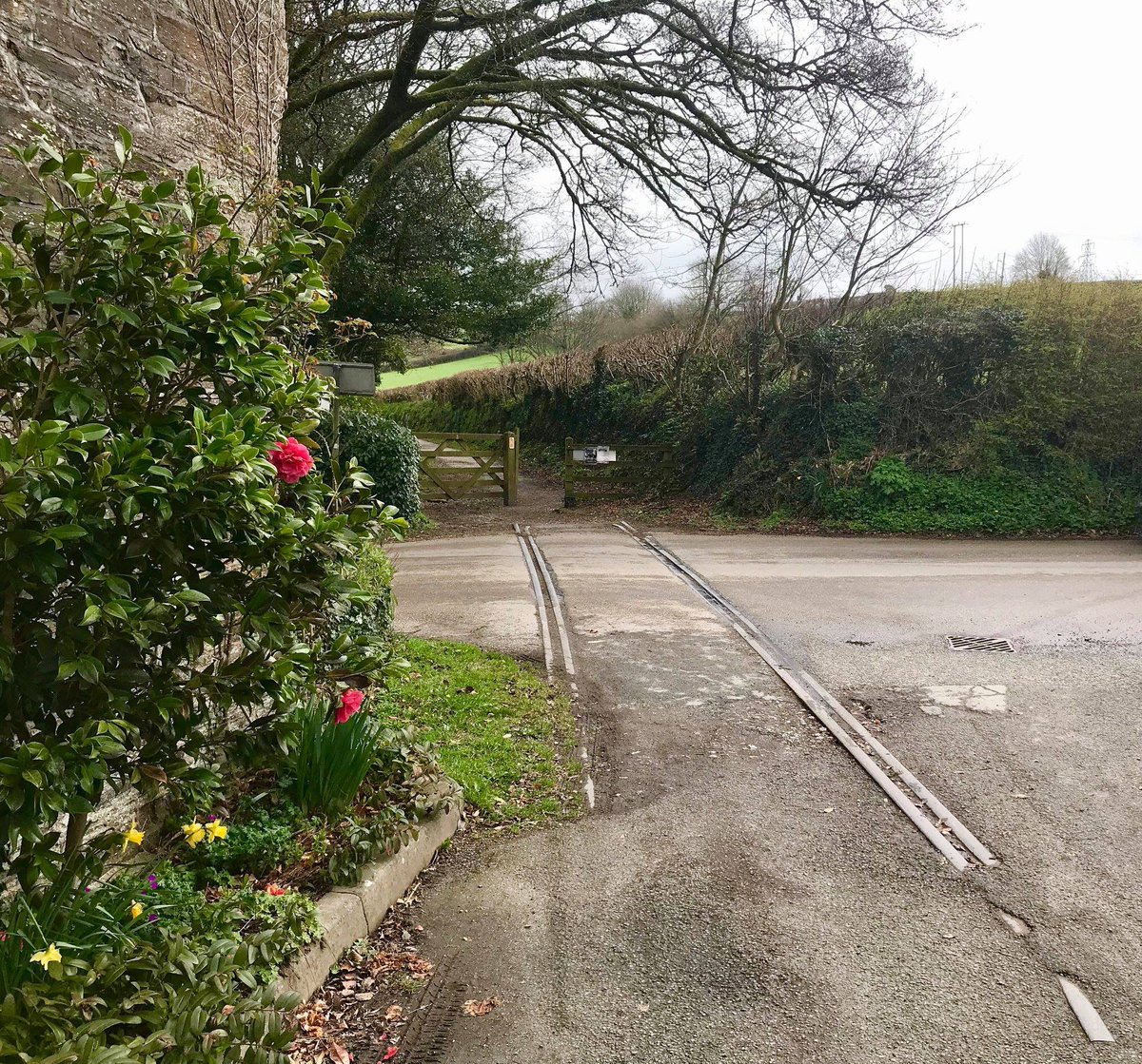VisitCamelTrail's tweet photo. #FridayFact - Did you know that it is still possible to see the original railway tracks where the #CamelTrail crosses the road at #HellandBridge. Find this location on the free to download Camel Trail map. Click here to download >>> https://t.co/PGnU2urB1v https://t.co/wJNWMbM8LV