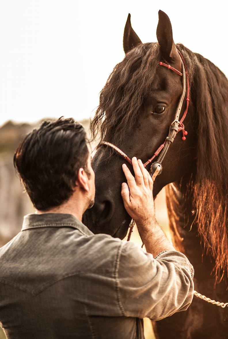 alexoficial's tweet photo. De mi caballo aprendí que la fuerza se complementa con la nobleza y la lealtad.... 🐴 https://t.co/4GJeiuYKvx
