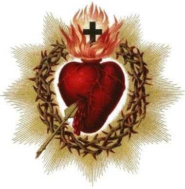 DavidAJMHoward's tweet photo. @ManofCath @MsgrMangan #GreenScapular for #FinalRepentance.

#Eucharist
#KingOfAllNations 
#Rosary

The #GreenScapular is known to have curative powers. https://t.co/2fpdP2j2Es