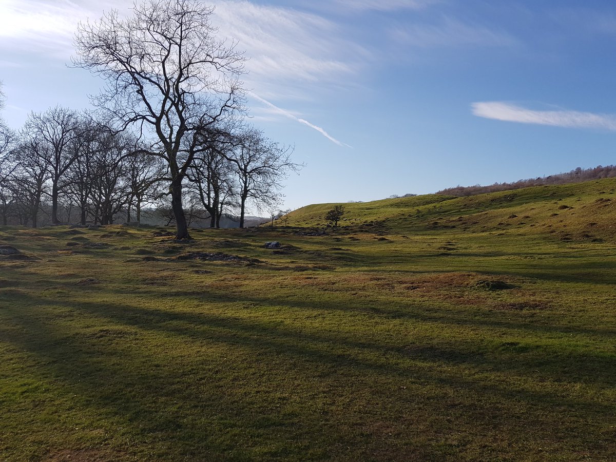 OpenAwardsNina's tweet photo. Beautiful day!
#samoyed #dogsoftwitter #visityorkshire #yorkshiredales #logweekend #springtime https://t.co/neY5vSy4WR