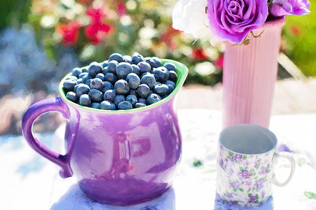 sorbatto's tweet photo. Did you know blueberries can help your eyes? Vitamin E and the antioxidants lutein and zeaxanthin in blueberries directly benefit optical health. https://t.co/lZDzwqBqa6