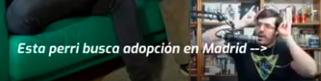 Negatiff tweet media