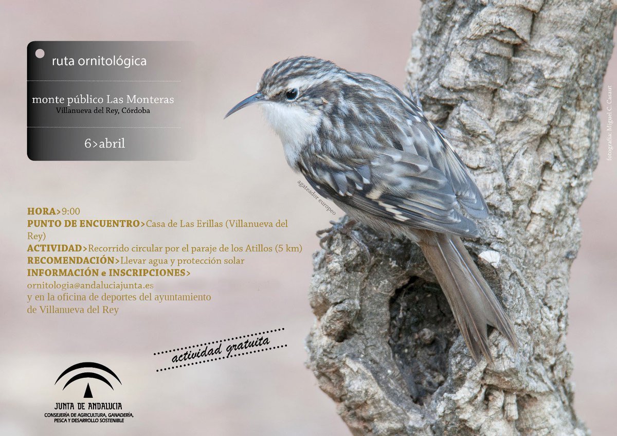 Villanueva del Rey (@aytovvadelrey) on Twitter photo El próximo 6 de abril tendremos una nueva oportunidad de conocer la riqueza natural de nuestro pueblo, ¿os lo vais a perder? #TurismoRural #Ornitología #Senderismo <a href="/dipucordoba/">Diputación de Córdoba</a> <a href="/MedioAmbAND/">Consejería de Sostenibilidad y Medio Ambiente</a> <a href="/AgriculturAnd/">Consejería AgriPesca</a> El próximo 6 de abril tendremos una nueva oportunidad de conocer la riqueza natural de nuestro pueblo, ¿os lo vais a perder? #TurismoRural #Ornitología #Senderismo <a href="/dipucordoba/">Diputación de Córdoba</a> <a href="/MedioAmbAND/">Consejería de Sostenibilidad y Medio Ambiente</a> <a href="/AgriculturAnd/">Consejería AgriPesca</a>