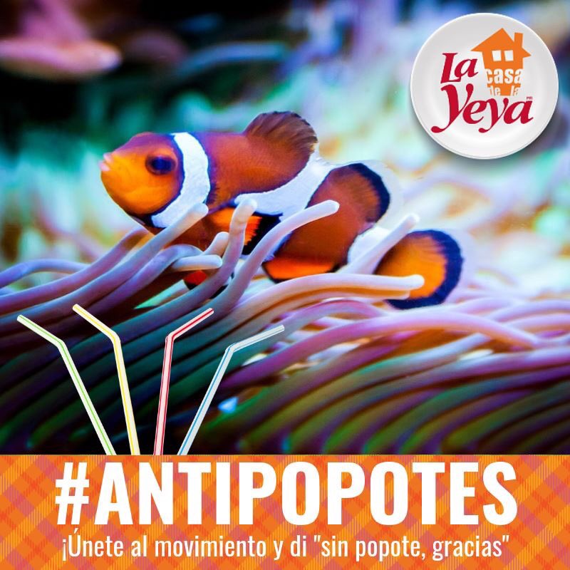 lacasadelayeya's tweet photo. ¿#SabíasQue aproximadamente 1.5 millones de peces, tortugas, ballenas y delfines mueren anualmente gracias al plástico que llega al mar? (Información obtenida en la red mundial) ¡Hagamos conciencia diciendo "No gracias" al popote. #Antipopotes https://t.co/2rvvDBgY5y