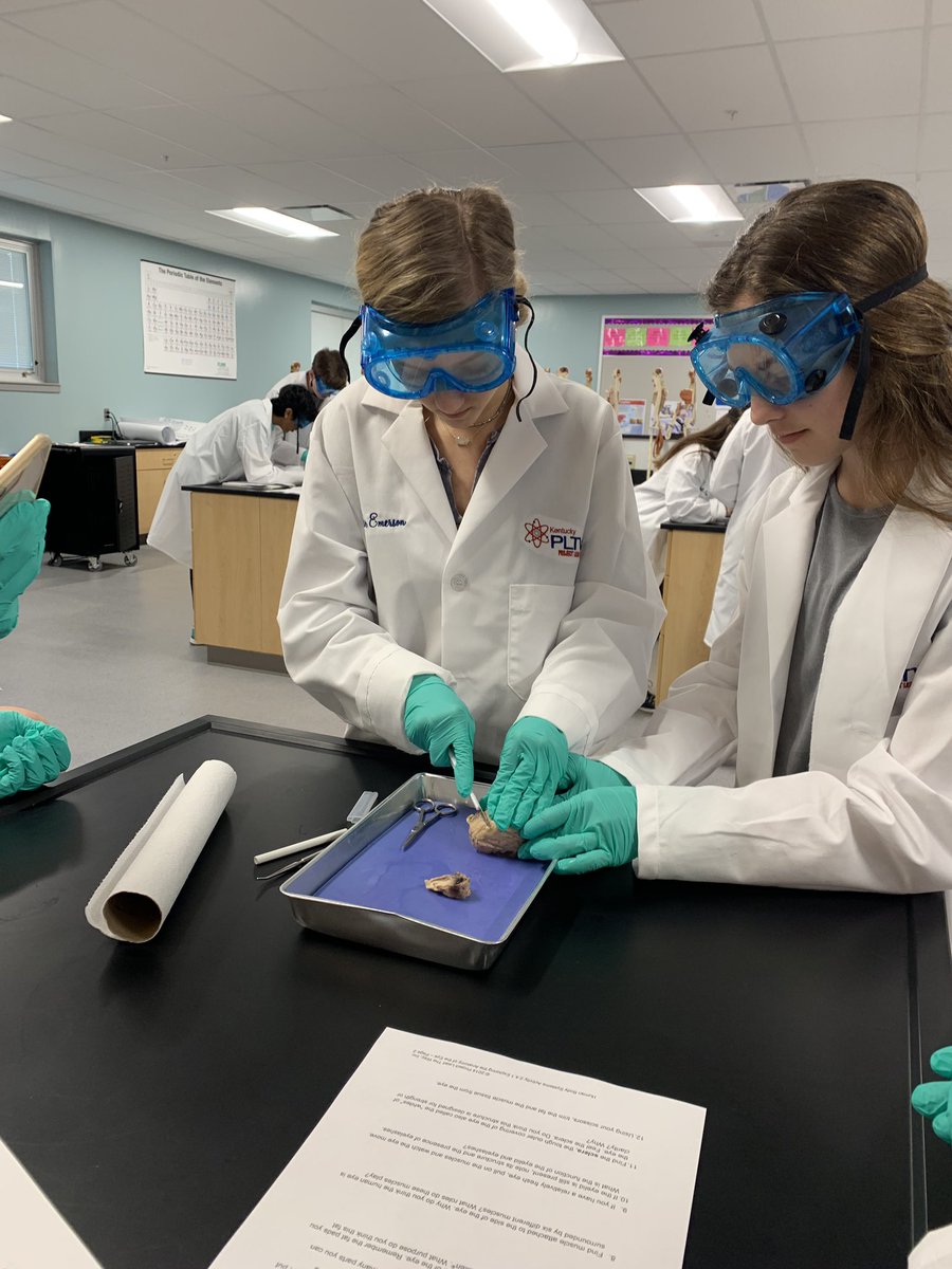ocbms's tweet photo. @OldhamCoSchools @OldhamCoArvin Human Body Systems dissected cow eyes before break! #PLTW #doscience https://t.co/pUENjC46lW
