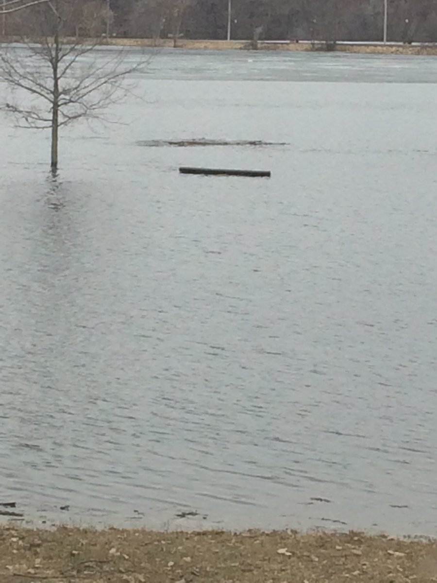 TerryBath1's tweet photo. The St Croix just keeps rising!!!! https://t.co/fEfmaIWpvc