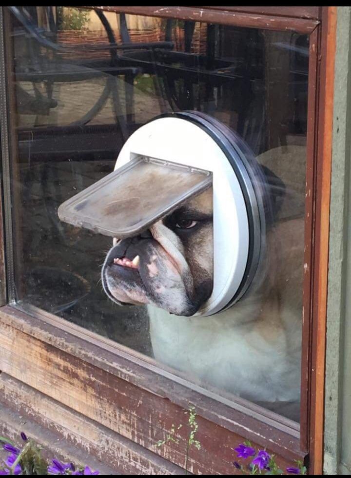 PProspects1's tweet photo. Me looking for new studs to help get recruited https://t.co/n3kkDF8wdI