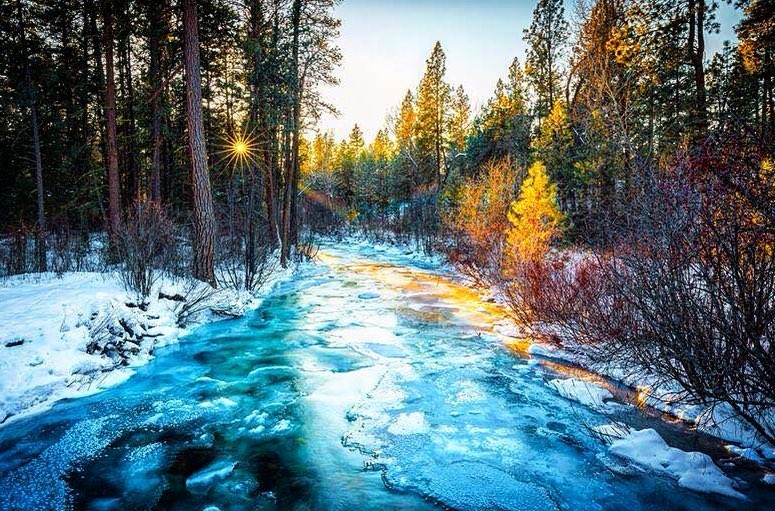 visitmontana's tweet photo. Morning glory. #MontanaMoment | 📷: IG user bchristiansonphoto https://t.co/8Uk7KPBG45