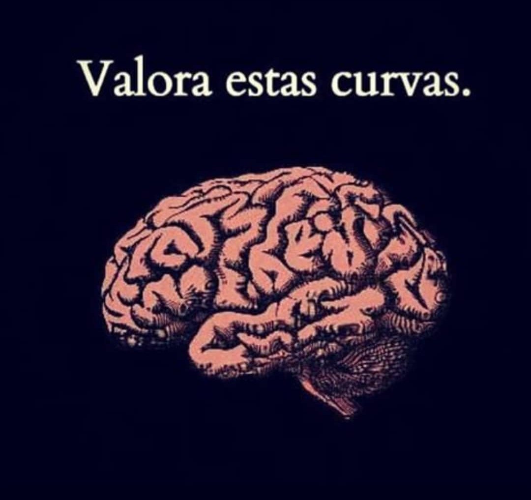 raudigon's tweet image. 👇🏼👇🏼👇🏼