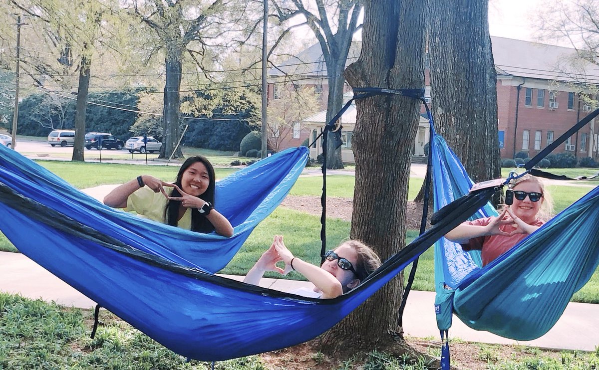 PCADPi's tweet image. whatever the letters, we’re all greek together 💎⛵️💛 @PCGreekLife #PCGreekWeek19