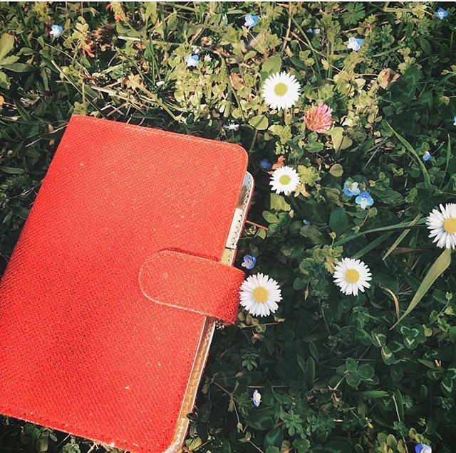 GETestilo's tweet photo. İstemek, ´İstiyorum´ demek değil, harekete geçmektir.

By @paperthingss 
Alışveriş ve fiyat bilgisi için https://t.co/otR1GqgCYC yi ziyaret edin 📖
Global Instagram Page ➡️ @getestiloworld
.
.
.
.
.
#getestilo
#getestilogirl
#getestiloileplanla
#hayatpla… https://t.co/nZpI3EhPIs https://t.co/x6ukMXLAYo