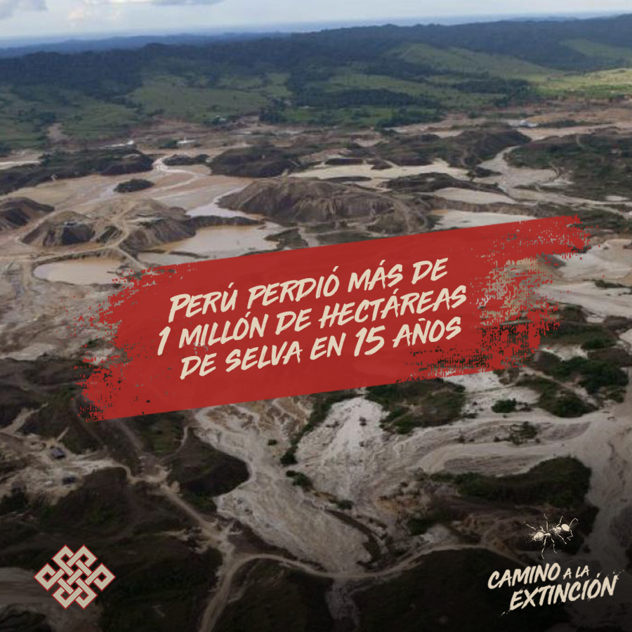 road2extinction's tweet photo. ¿Quieres hacer algo al respecto? 🌳
Ingresa al siguiente link ⤵️
https://t.co/vnzlxu0YzG
@Fridays4future #ClimateChange
#MedioAmbiente #Selva #Cambioclimático @ClimateReality  @rua_unalm @Chuffed https://t.co/bxZdSQqKLB