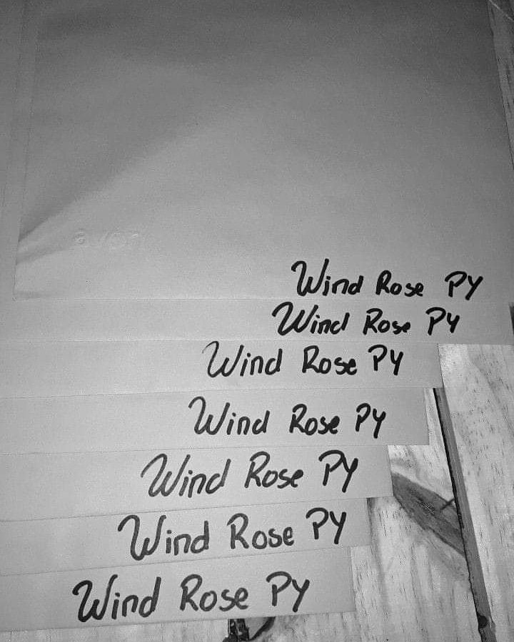 windrosepy's tweet image. 👀