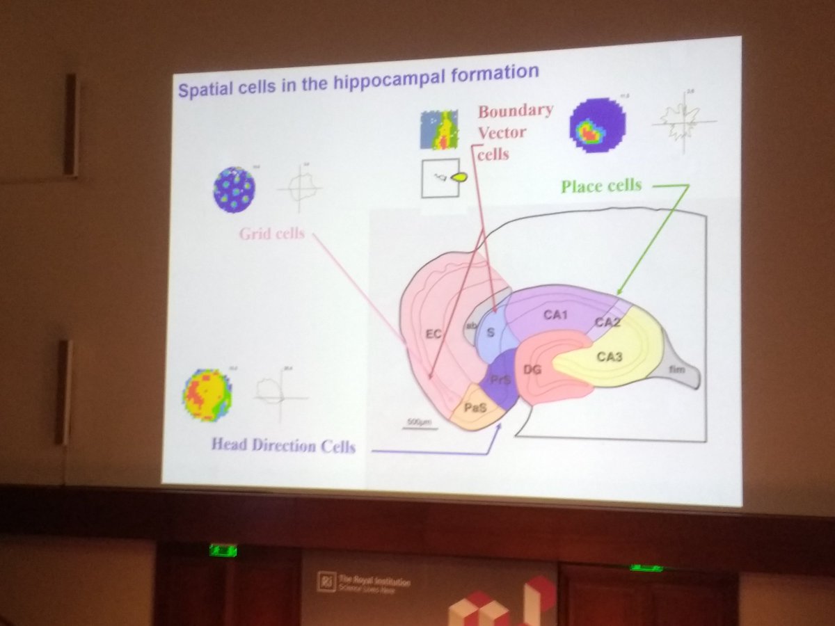 Shamim Quadir tweet media