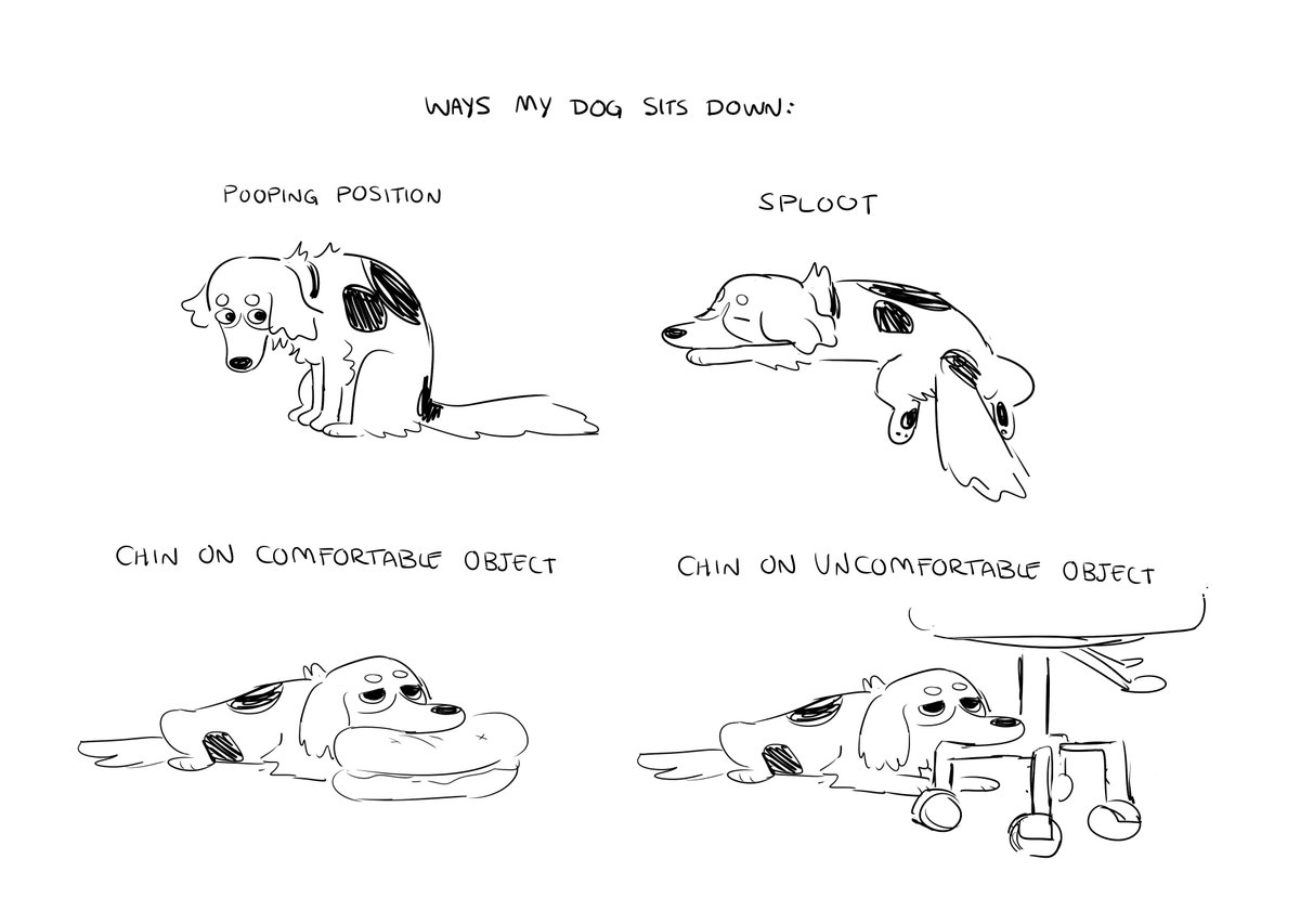 ways my dog sits down 