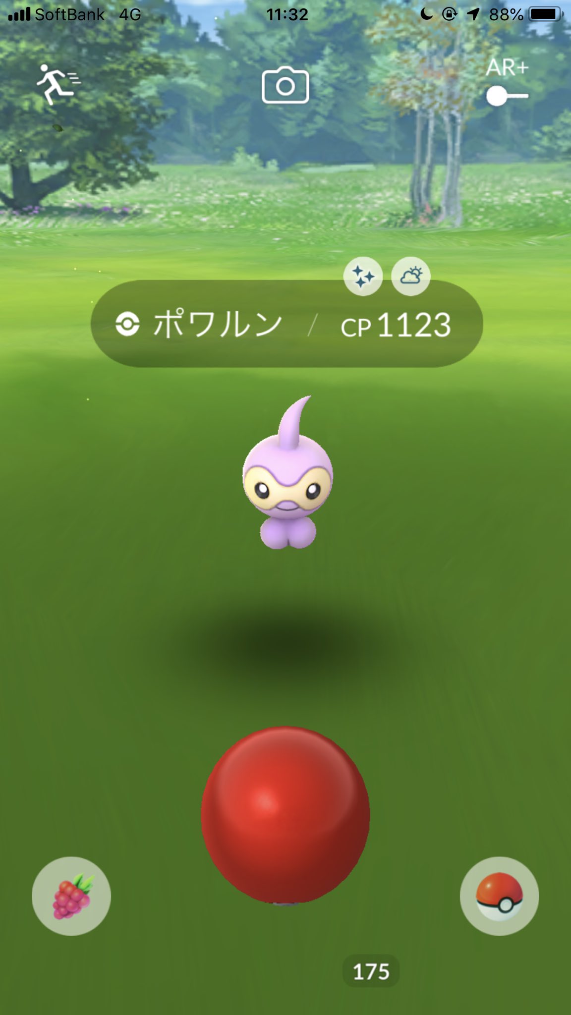 紗里菜 日曜日営業始めました Auf Twitter さっそくポワルン色違いきた 天気変わらないかなー ポケモンgo ポワルン ポワルン色違い T Co Rsk4r4j6xs Twitter