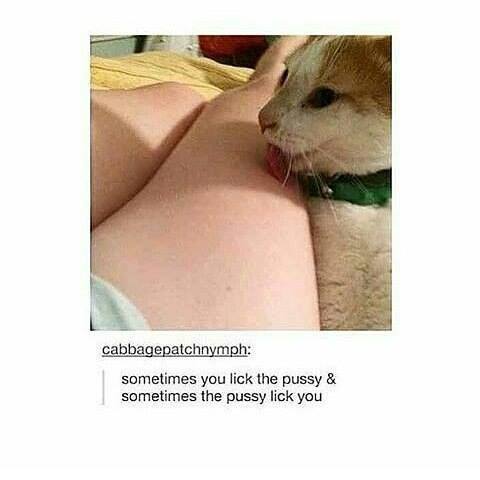 DomPict's tweet photo. TOP 75 Funny Cats Memes
https://t.co/AU70uhNVB8 https://t.co/WvVpbYtdGJ